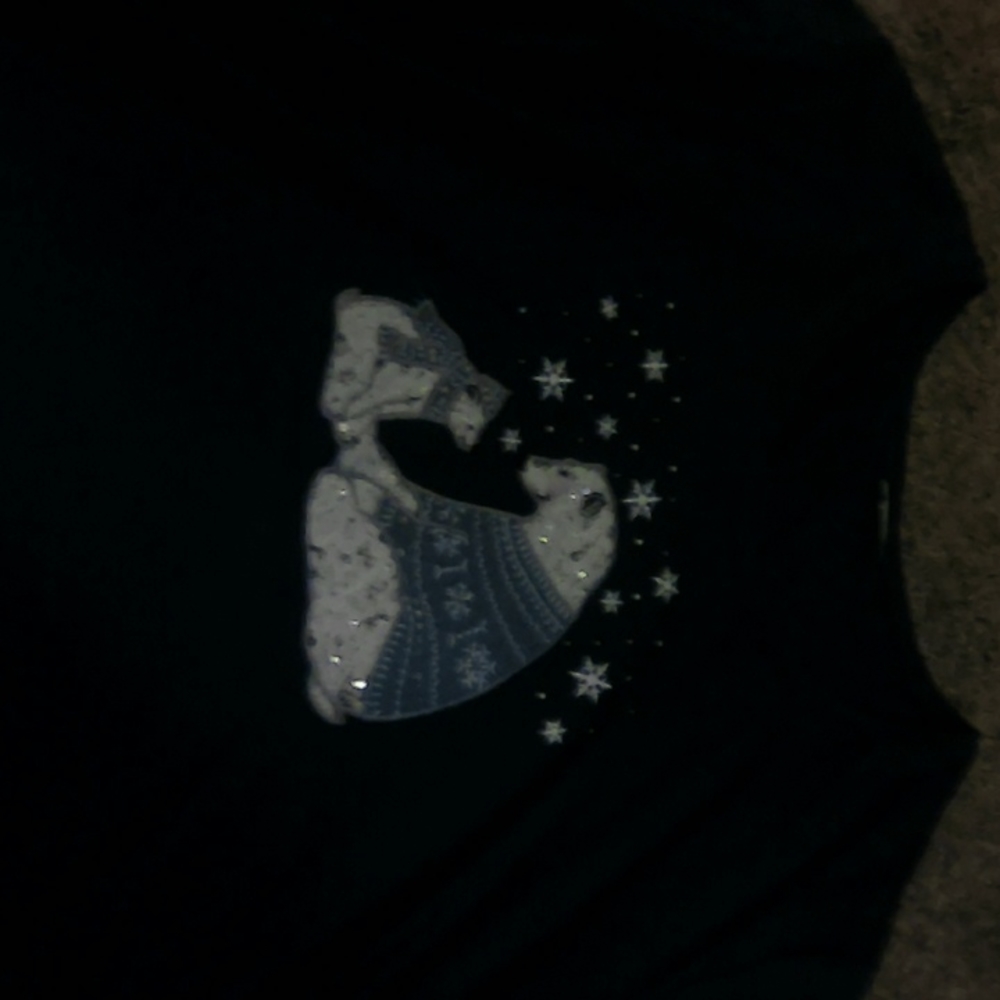 Winter top decorative Bear